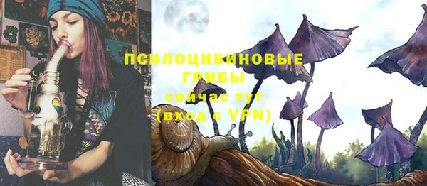 спайс Нефтекумск