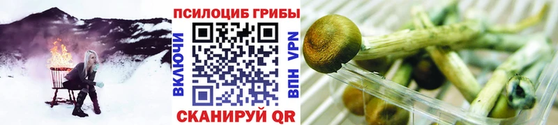 Псилоцибиновые грибы Magic Shrooms  Чегем 